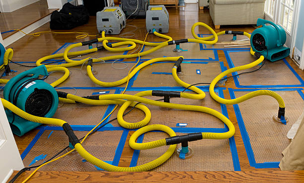 Professional Crawl Space Water Removal technician working in Five Points, FL